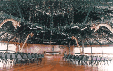 Ariau Towers Convention Center