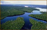 Amazon River From Above