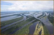 Amazon of Brazil Hotel - Amazon Jungle Adventures