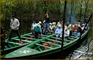 Amazon of Brazil Hotel - Amazon Jungle Adventures