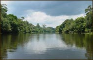 Amazon of Brazil Hotel Attractions
