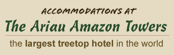 Manaus, Brazil Hotel Rooms