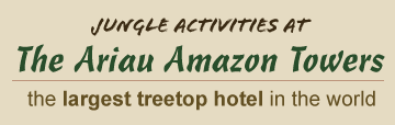 Manaus, Brazil Hotel - Things To Do