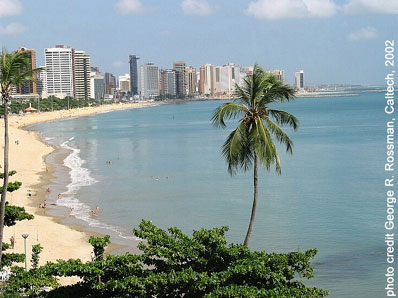 Jungle and Beach
