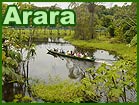 Ariau 3
